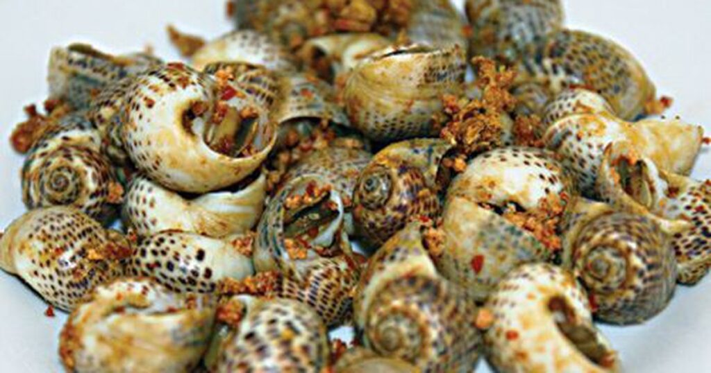 oc bong rang muoi ot 177104215760420227513 16 0 329 500 crop 177104261640438274639