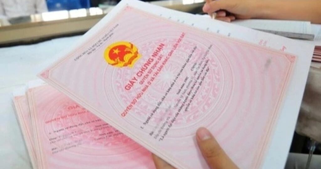 so do da duoc tich hop tren vneid cropped 1770108872422