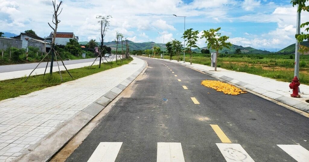 Người đàn ông ở TPHCM đấu giá trúng 16 lô đất rồi “bỏ của chạy lấy người” 1 dau gia dat cropped 1774694259155