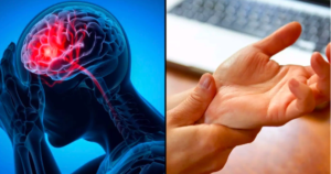 dot quy 17741857270902073573445 8 0 365 681 crop 17741860439351956611893