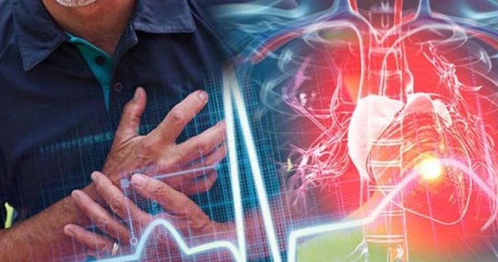 nhip tim 17744248874691207518020 0 6 367 593 crop 1774424905201108522898