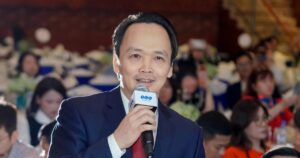 tred 08808 edited edited cropped 1774600843936