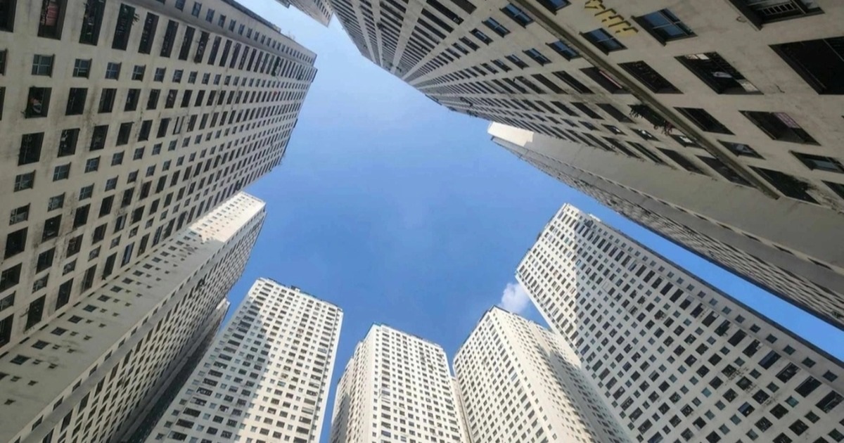 dan o hh linh dam nhan phieu khao sat co lua chon tra nha lay lai tien cropped cropped 1776139446109