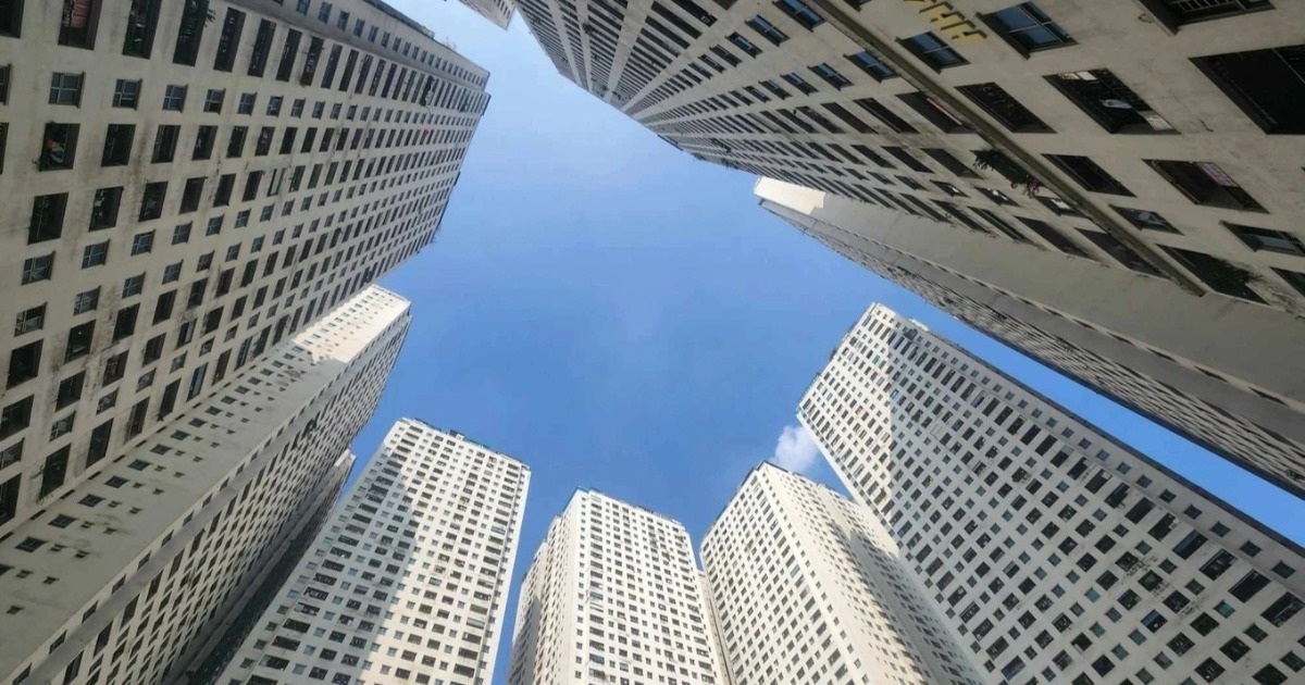 dan o hh linh dam nhan phieu khao sat co lua chon tra nha lay lai tien cropped cropped 1777448443357