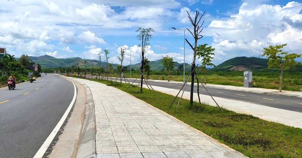 dau gia datquang ngai cropped 1775011201671