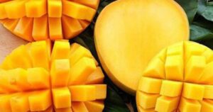 nguoi benh suy than an xoai 17767578273101470857169 0 0 306 490 crop 17767578481821100130706