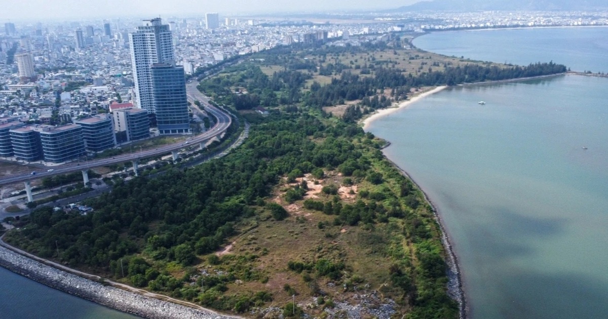 screenshot 2026 04 24 091842 cropped cropped 1776997243676