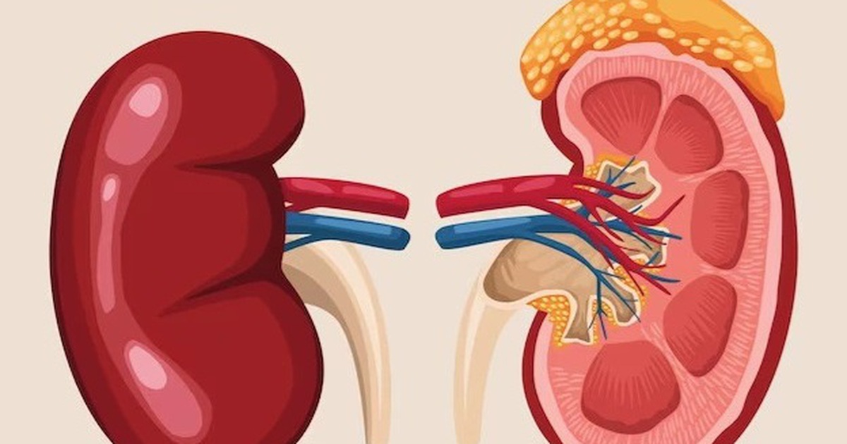 suy than 5 17768265982631705823614 25 0 415 624 crop 1776826671648831877766