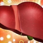 thai doc gan 5 1776845984238392578590 25 0 400 600 crop 1776846006927525950927