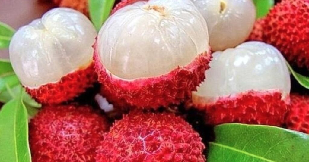 an vai thieu 6 1780648093168656444139 0 0 482 771 crop 17806481123501770423189