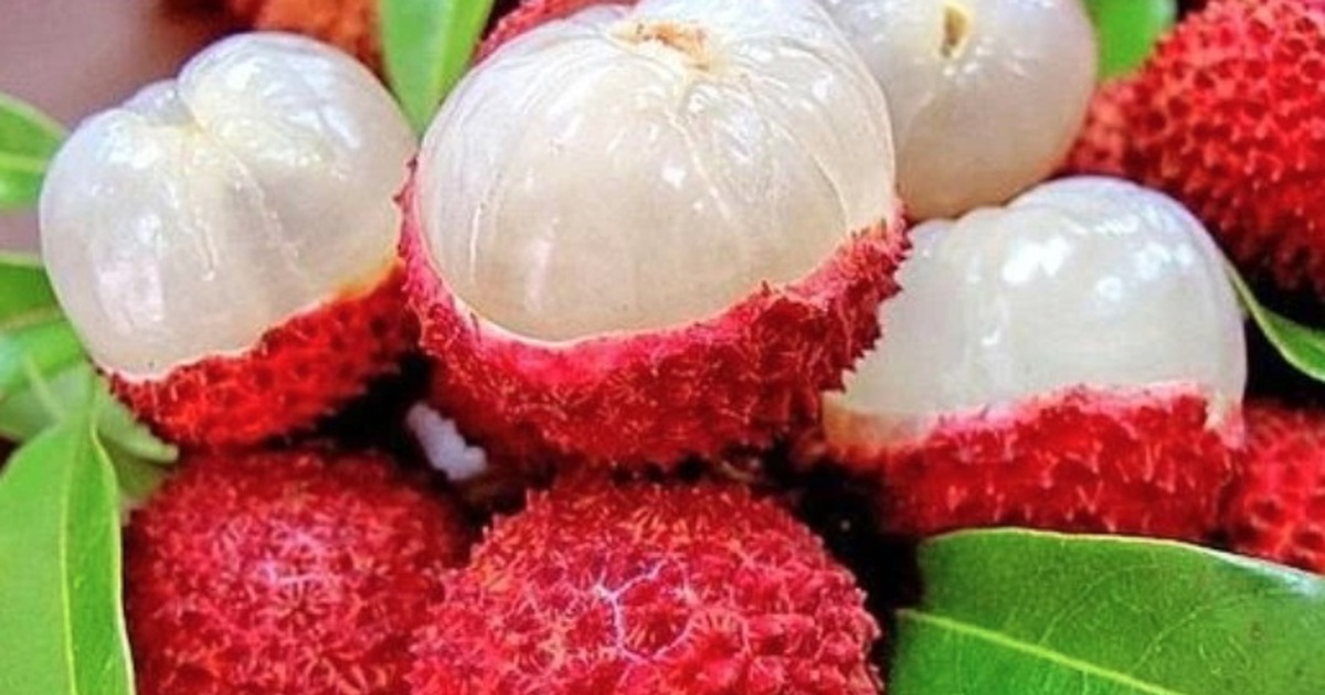 an vai thieu 6 1780648093168656444139 0 0 482 771 crop 17806481123501770423189