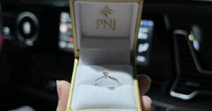 pnj cropped 1783315729723