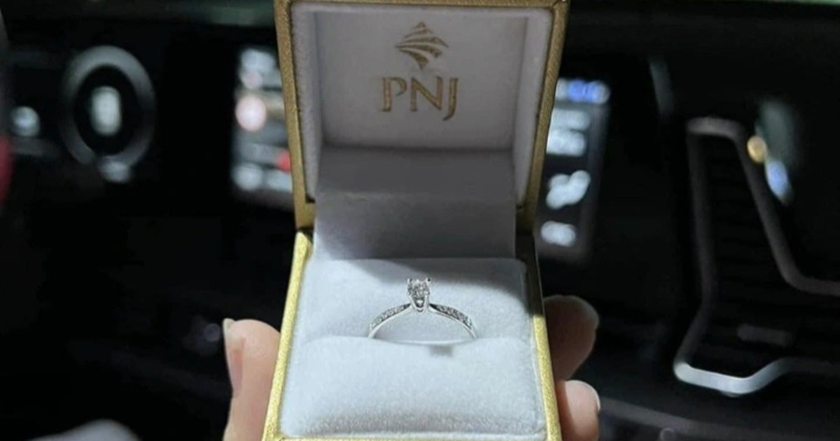 pnj cropped 1783315729723