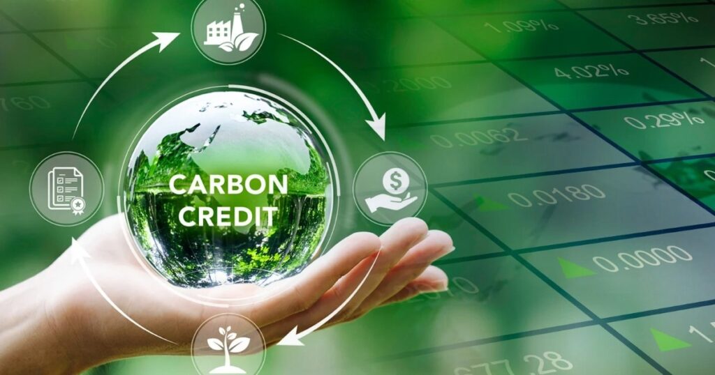 Sàn carbon sau gần 2 tháng vận hành đang ra sao? 1 carbon creadit cropped 1786948971740