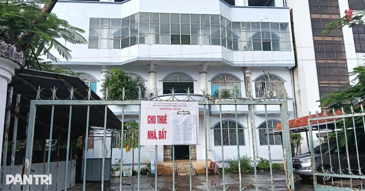 cho thue dat ngan han ca mauhuynh hai cropped 1787221168899