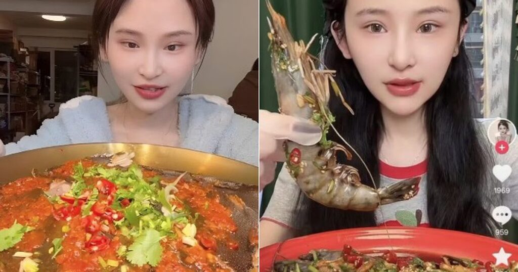 ha ka li mau 178894568770496880451 41 0 473 691 crop 1788945726354386989377