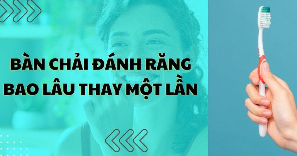 ban chai danh rang bao lau thay 1 lan 1 1791379435827202562812 0 68 628 1073 crop 1791379440573809737565