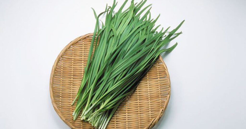 garlic chives 17931710595591166959232 46 0 431 735 crop 17931714395571387970158