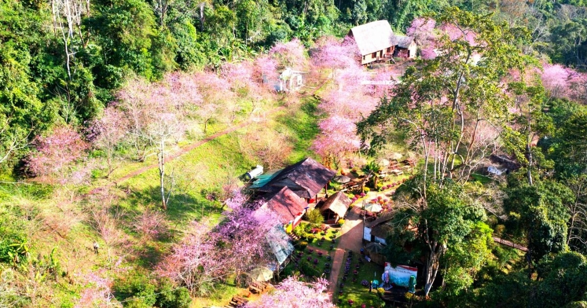 mai anh daoquang ngaipham hoang cropped 1792283333860