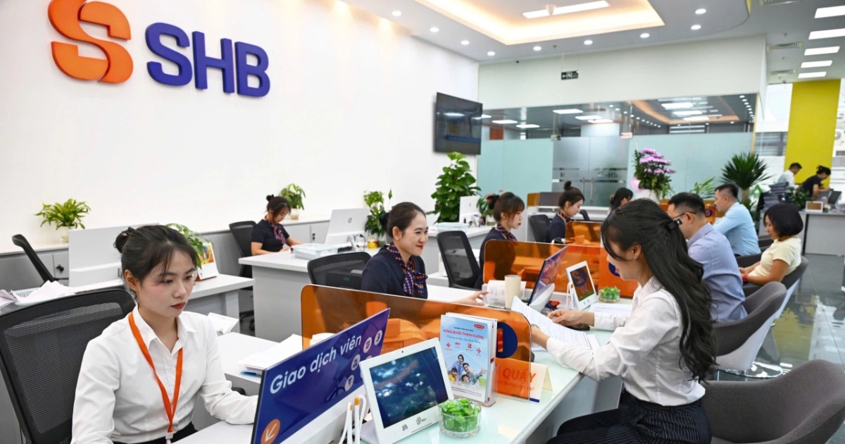 shb 3 cropped 1791561941264